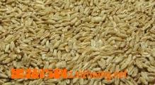 浮子麦的功效与作用 浮麦子功效与作用