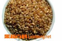 糙米的功效与作用 糙米的功效与作用藜麦的营养价值