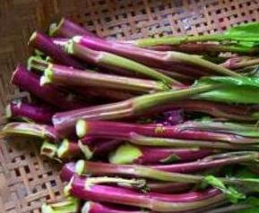 吃紫菜苔有什么好处和坏处 吃紫菜苔有什么好处