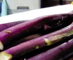 紫菜苔的功效与作用 紫菜苔的功效与作用图片