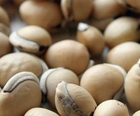 炒白扁豆有什么功效 炒白扁豆有什么功效和禁忌