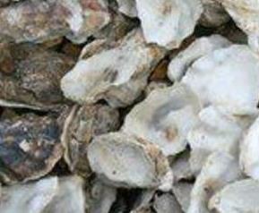 海蛎壳的药用价值与功效作用是什么 海蛎壳的药用价值与功效作用