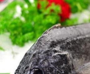 黑鱼的功效与作用营养价值 黑鮶鱼的功效与作用