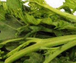 油菜苔的作用与功效 干油菜苔的功效与药用