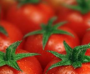番茄的功效和作用 番茄的功效和作用有什么