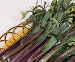 红菜苔的营养价值与功效与作用 红菜苔的营养价值与功效