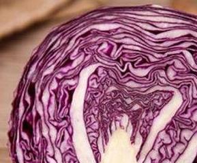 紫卷心菜与什么相克 紫菜和什么相克