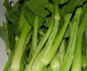 白油菜苔的功效和营养价值 白油菜苔的功效和营养价值与作用