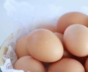 咸鸭蛋怎么保存 蛋怎么保存