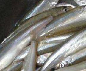 长江子鱼的功效与作用及食用方法 长江子鱼的功效与作用及食用方法禁忌