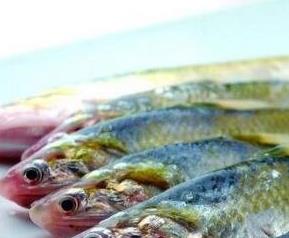长江子鱼的功效与作用 长江子鱼的功效与作用及禁忌