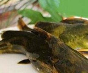 黄古鱼的功效与作用 黄沙古鱼营养及功效