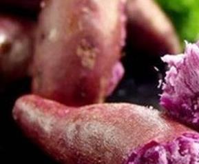 紫心番薯和哪些食物相克 紫薯和紫心番薯