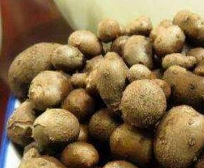 山药豆的功效作用与食用方法 山药豆的功效?