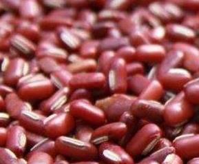 赤小豆的功效与作用及食用方法 薏米与赤小豆的功效与作用及食用方法