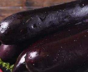 紫茄子的功效与作用 紫茄子的功效与作用价格