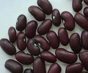 紫芸豆的功效与作用 紫芸豆的功效与作用及营养价值