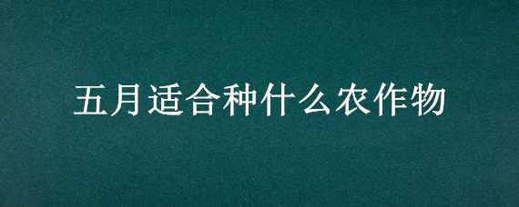 五月适合种什么农作物（五月份适合种什么农作物）