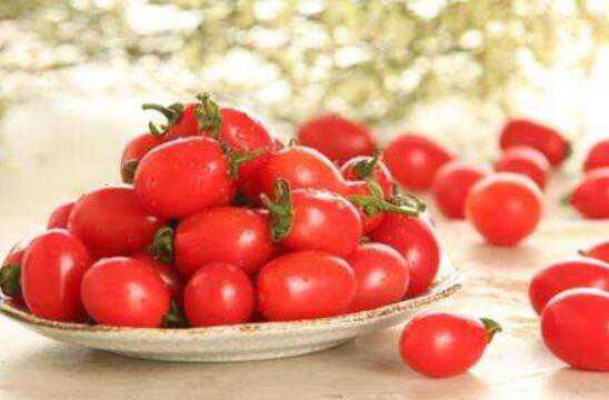 生吃小番茄的功效与作用 生吃小番茄的功效与作用及禁忌
