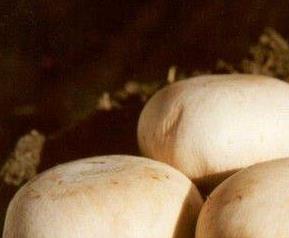 双孢菇的功效和作用 双孢菇的功效和作用禁忌