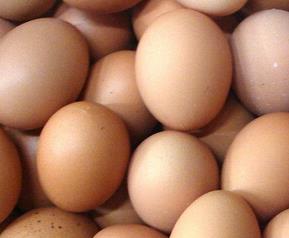 吃鸡蛋的禁忌 吃鸡蛋的禁忌人群