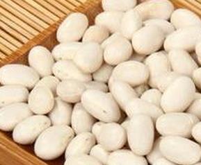 白芸豆的功效与作用减肥 白芸豆的功效与作用