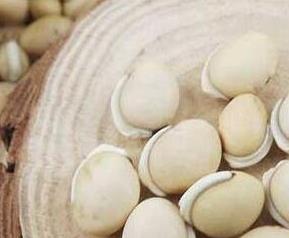 白扁豆籽的功效与作用（白扁豆籽的功效与作用及食用方法）