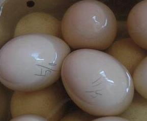 最简单的鸡蛋腌制方法图解（最简单的鸡蛋腌制方法图解窍门）