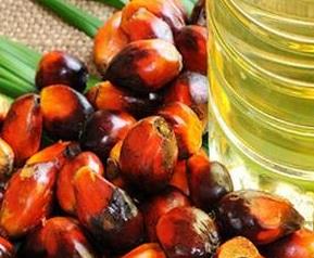 棕榈油的好处 棕榈油的好处与功效