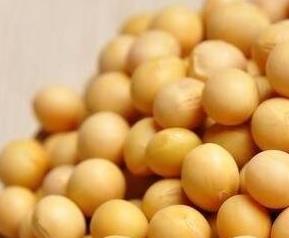 黄豆壳的营养价值 黄豆壳的营养含量