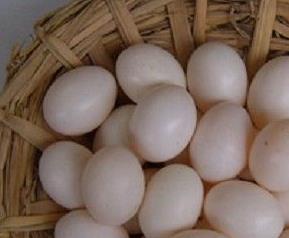 鸽子蛋的功效与作用（鸽子蛋的功效与作用及吃法）