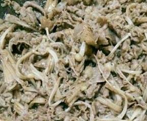羊肉金针菇的功效与作用 羊肉金针菇的功效与作用及禁忌