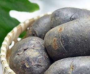 黑土豆的药用价值 黑土豆的营养价值及功效与作用