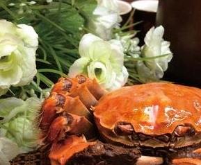 大闸蟹不能和什么食物一起吃 大闸蟹不可以和什么食物一起吃