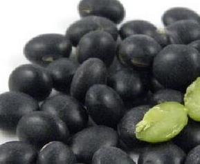 绿芯黑豆的功效与作用及禁忌 绿芯黑豆的功效与作用及禁忌症