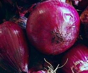 紫圆葱的营养价值 紫圆葱的营养价值及功效