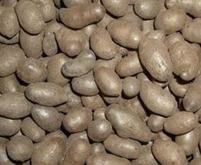 山药豆的功效与作用禁忌人群 山药豆的功效与作用及禁忌