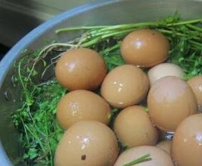 艾叶煮鸡蛋的做法步骤教程 如何煮艾叶鸡蛋