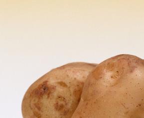 土豆的食疗功效与用法（土豆的食疗作用）