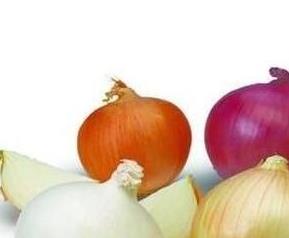 紫洋葱和白洋葱哪个营养价值高 白洋葱和紫洋葱的营养价值