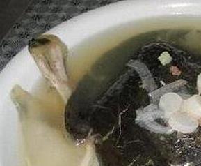 女人喝甲鱼汤的功效与作用 喝甲鱼汤的功效与作用
