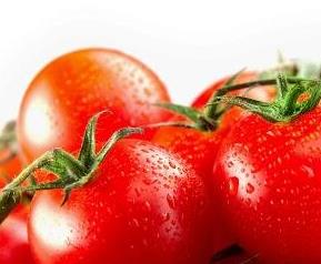 吃西红柿的好处与功效作用 吃西红柿的好处与功效作用是什么