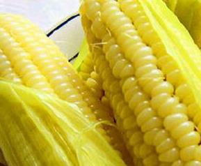 鲜玉米的功效与作用及禁忌 鲜玉米的功效与作用
