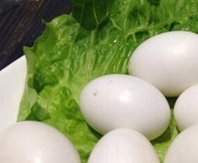 吃鸽子蛋的营养价值与功效 吃鸽子蛋有什么营养
