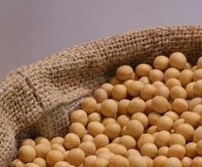 大豆的营养价值与功效与作用 大豆的营养价值与功效