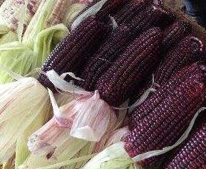 紫玉米的功效与作用花青素 紫玉米的功效与作用