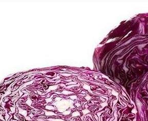 紫色包心菜有什么营养 紫心包菜的营养价值