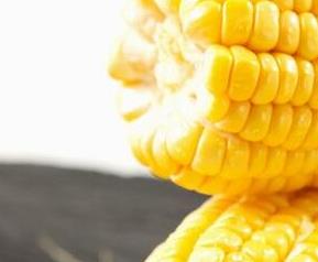 黑玉米和黄玉米的功效与作用 黄玉米的功效与作用