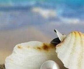 珍珠蚌壳的药用价值 河蚌壳的药用价值