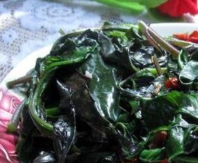 紫背菜的功效与作用及食用方法 紫背菜的功效与作用及食用方法图片